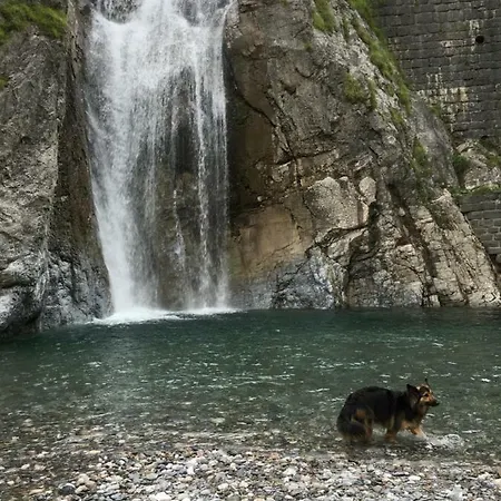 Fewo-stattmann Daire *